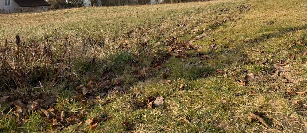 Grundstück Kulmbach Blaich - 269.000&euro; | Angebot:26151851