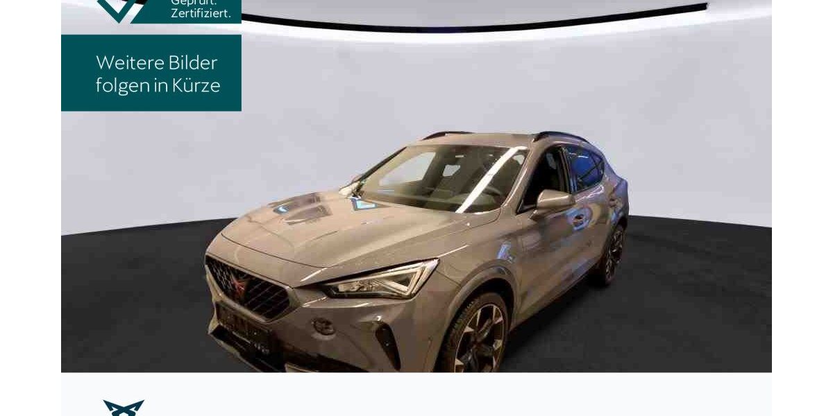 Cupra Formentor 38.968 km 24.930 &euro; Hofheim-Diedenbergen 65719