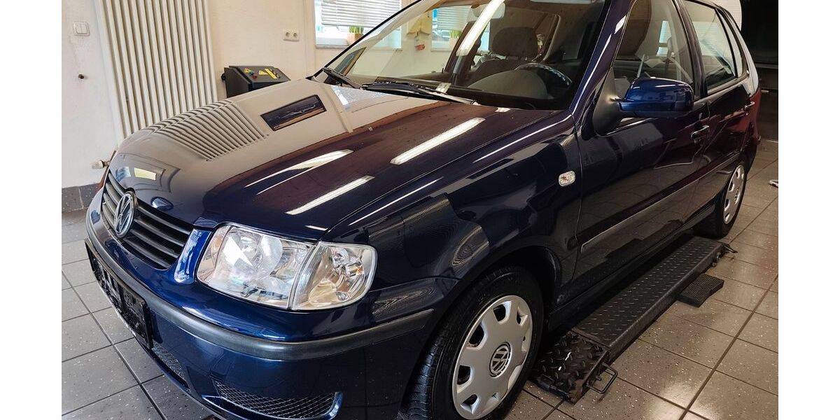 VW Polo 50.000 km 2.990 &euro; Hetzerath 54523