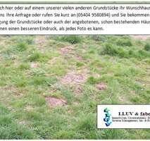 Grundstück Gerstungen Sallmannshausen - 20.000&euro; | Angebot:25687949