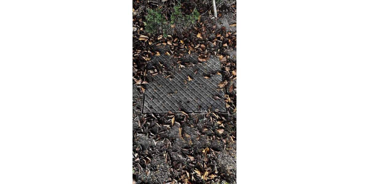 Grundstück Frankenberg - 25.000&euro; | Angebot:24277673