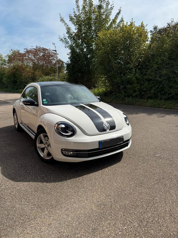 Beetle
