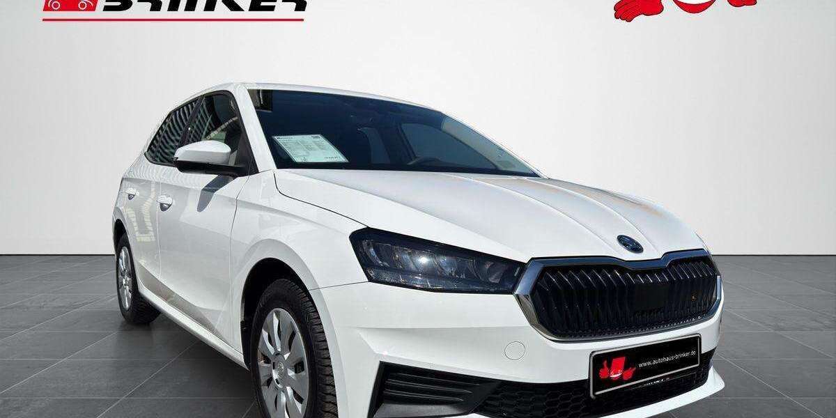 Skoda Fabia 66.412 km 10.830 &euro; Bielefeld 33649