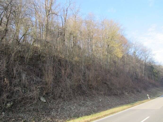 Grundstück Widdern - 25.000&euro; | Angebot:25700084