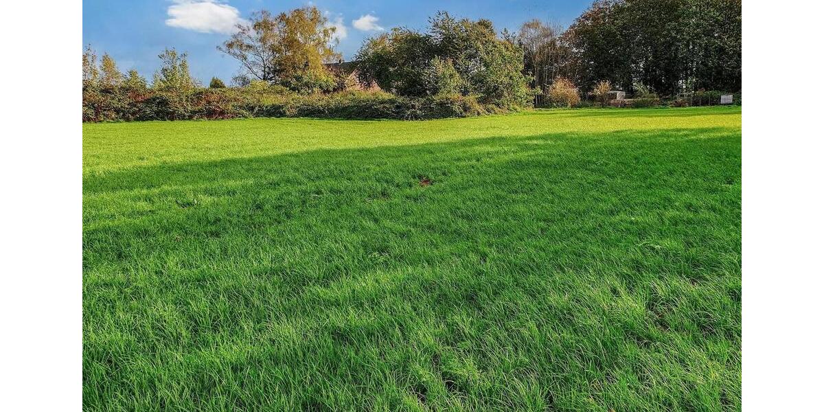 Einfamilienhaus Goch - 4 Zimmer, 149 m&sup2;, 1.395&euro; | Angebot:25311517