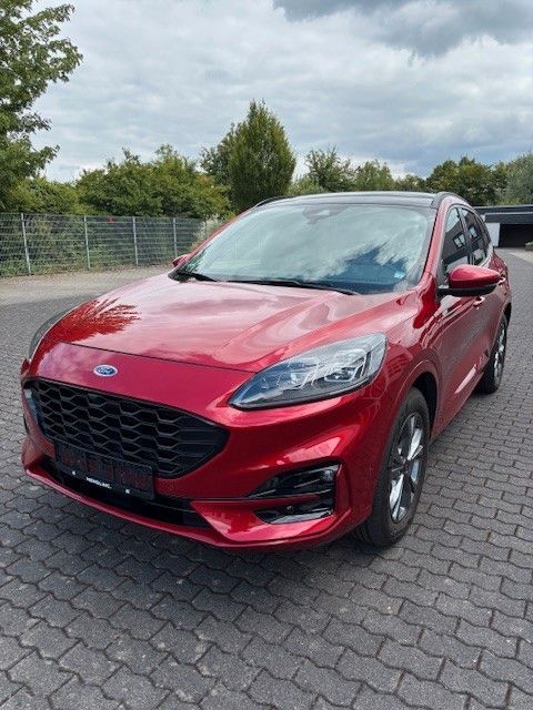 Kuga