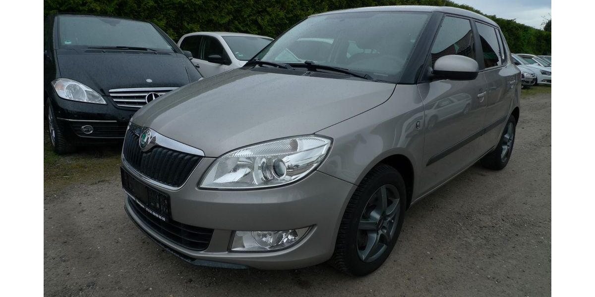 Skoda Fabia 100.000 km 8.990 &euro; Holtensen 30974