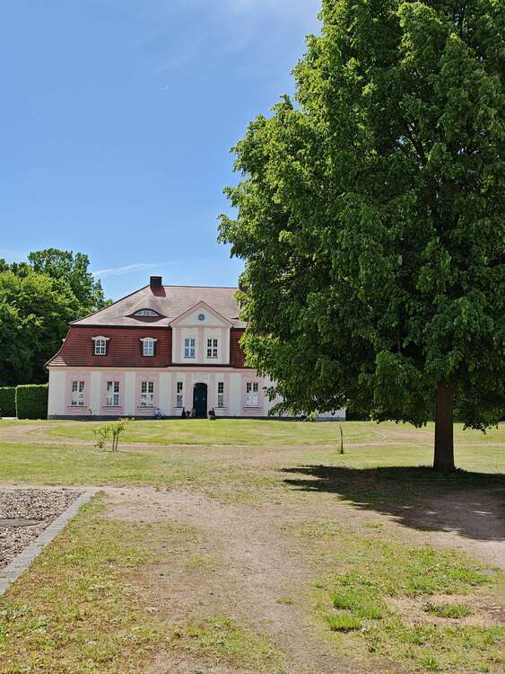 Wohnung zum Mieten in Peitz 1.350 € 130 m² 4 zimmer