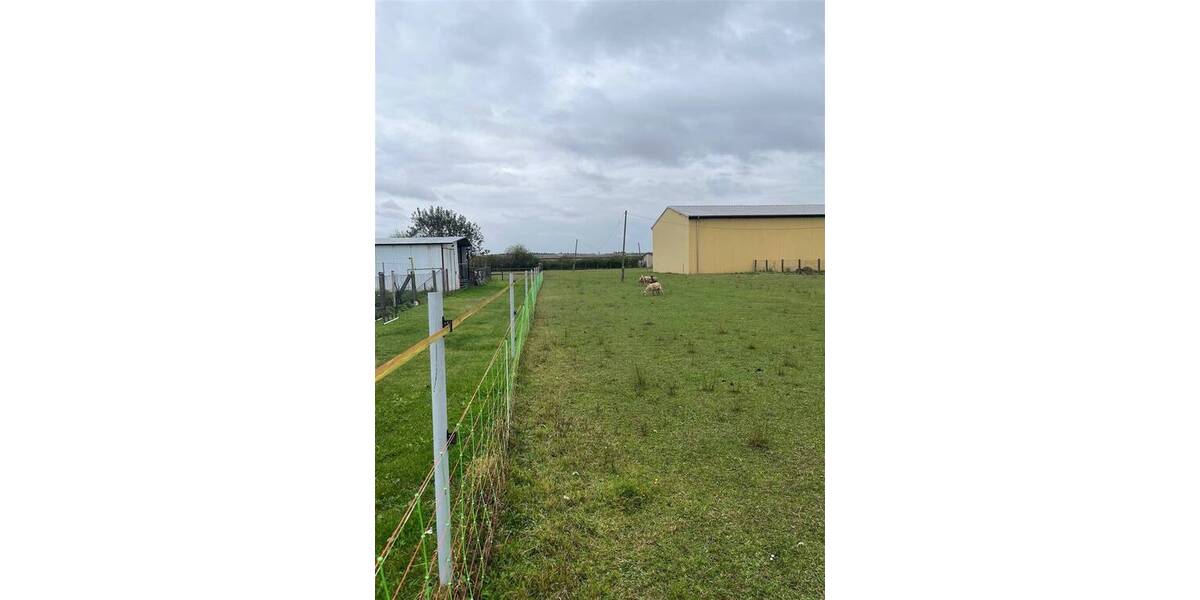 Grundstück Nichtewitz Nichtewitz - 20.000&euro; | Angebot:25679415