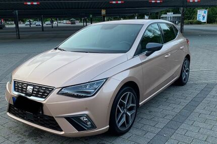 Seat Ibiza 92.148 km 18.500 &euro; Schellhorn 24211