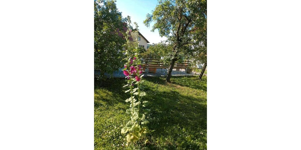 Einfamilienhaus Römhild - 4 Zimmer, 85 m&sup2;, 161.900&euro; | Angebot:23231243