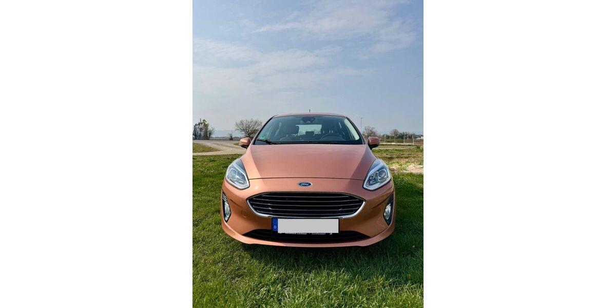 Ford Fiesta 100.605 km 12.870 &euro; Böhl-Iggelheim 67459