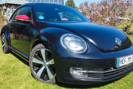 VW Beetle 290.000 km 7.900 &euro; Heringen 36266