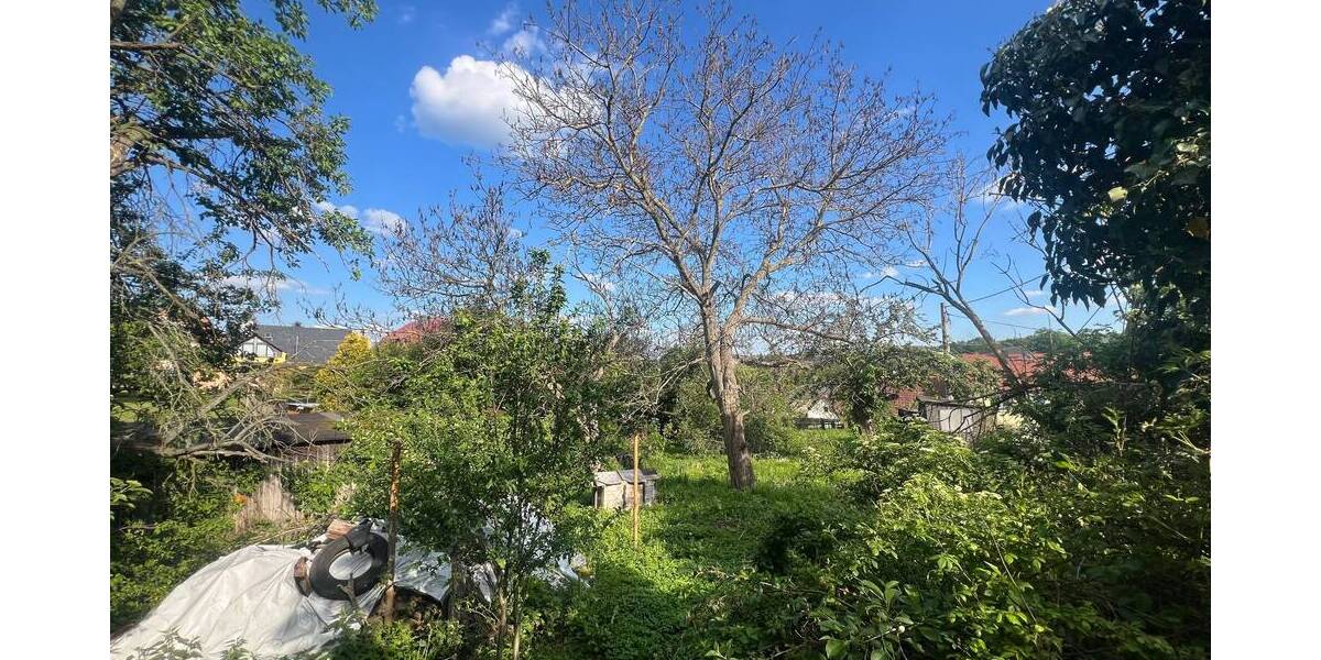 Grundstück Glashütte Reinhardtsgrimma - 59.000&euro; | Angebot:23492186