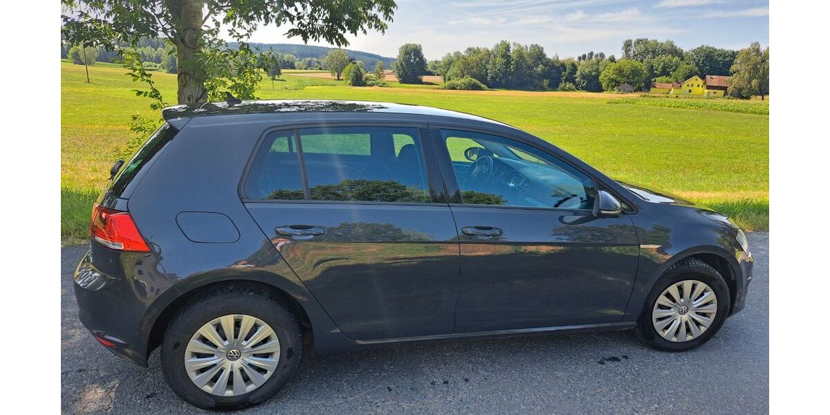 VW Golf 150.000 km 11.500 &euro; Treffelstein 93492