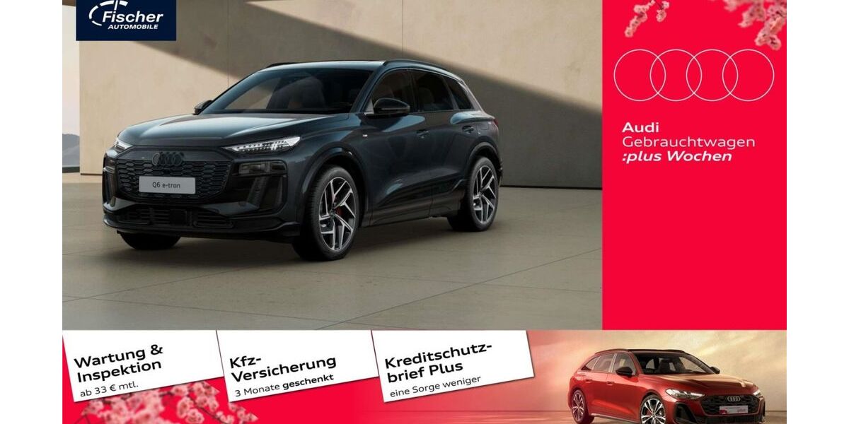 Audi Q6 e-tron 7.643 km 71.980 &euro; Ursensollen 92289