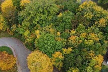 Grundstück Albstadt Tailfingen - 335.000&euro; | Angebot:25684917