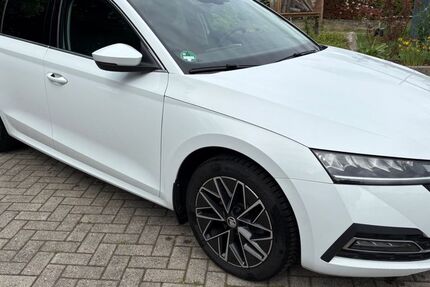 Skoda Octavia 175.000 km 14.900 &euro; Bad Bentheim/Gildehaus 48455