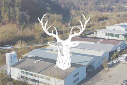 Gewerbeobjekt Wutöschingen Degernau - 2.650.000&euro; | Angebot:25685820