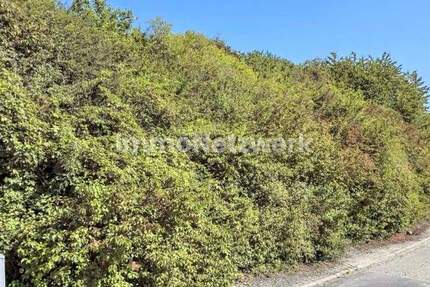 Grundstück Röttingen - 48.000&euro; | Angebot:24939878