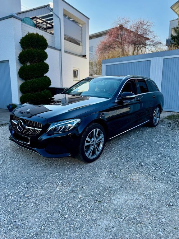 C 250