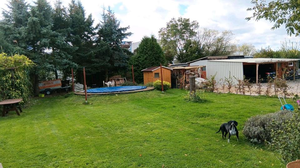 Wochenendgrundstück in Markranstädt 3 zimmer