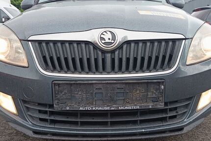 Skoda Roomster 293.789 km 1.999 € Münster 48165
