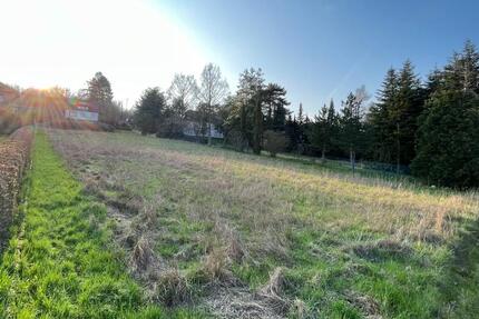Grundstück Salzhemmendorf - 75.000&euro; | Angebot:24813726