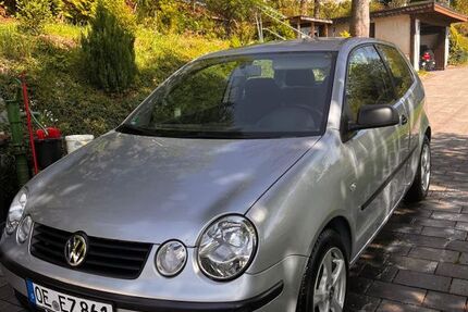 VW Polo