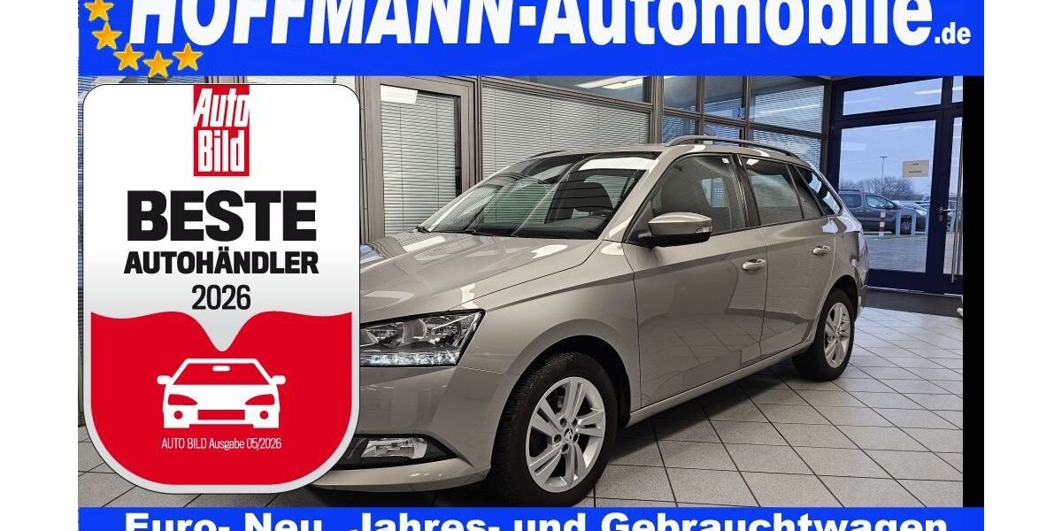 Skoda Fabia 123.062 km 9.950 &euro; Wolfsburg-Heiligendorf 38444
