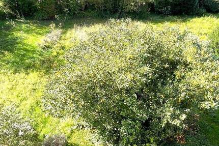 Grundstück Eislingen - 320.000&euro; | Angebot:25755930