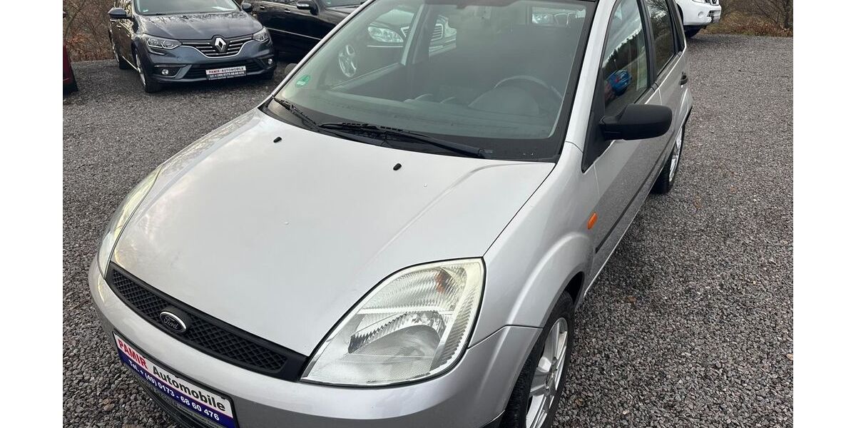 Ford Fiesta 114.000 km 1.990 &euro; Röhrsdorf Chemnitz 09247