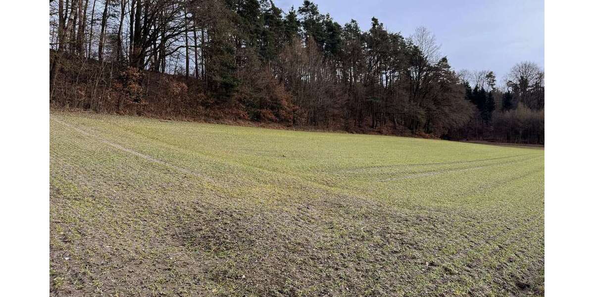 Grundstück Pfeffenhausen / Oberlauterbach Oberlauterbach - 136.260&euro; | Angebot:25252670