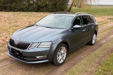 Skoda Octavia 171.000 km 13.200 &euro; Kandelin 18516