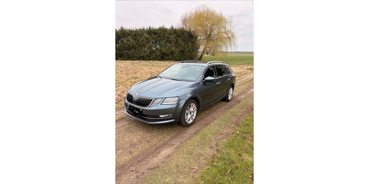 Skoda Octavia 171.000 km 13.200 &euro; Kandelin 18516