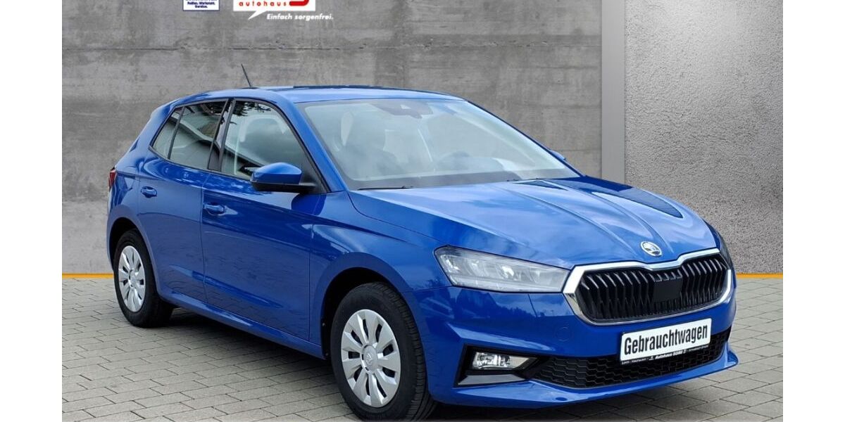 Skoda Fabia 20.271 km 14.990 &euro; Schwäbisch Gmünd 73525