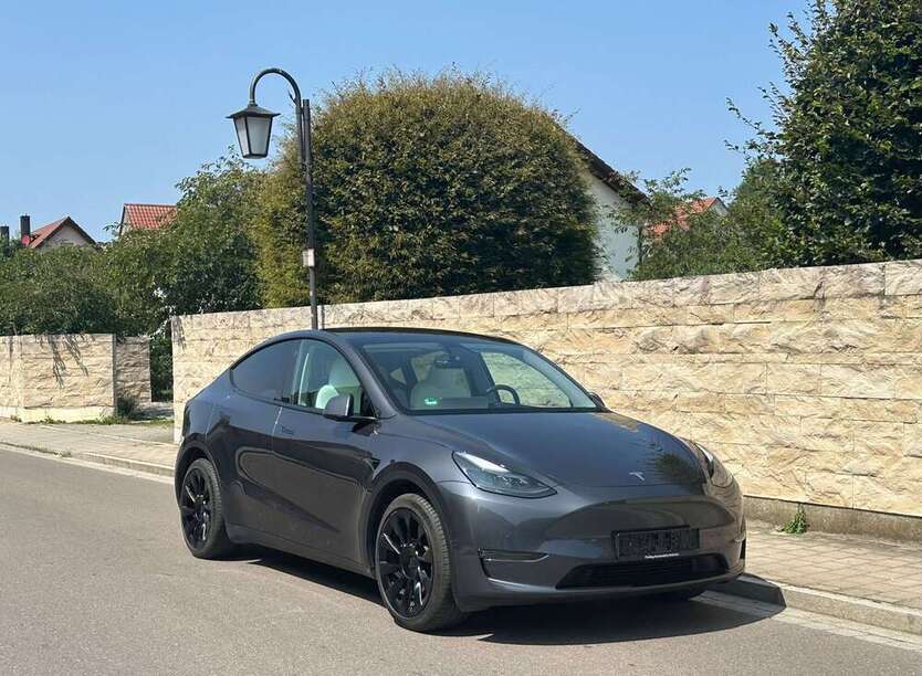 Model Y