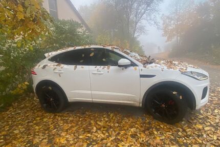 Jaguar E-Pace 52.000 km 26.500 &euro; Nesselwang 87484