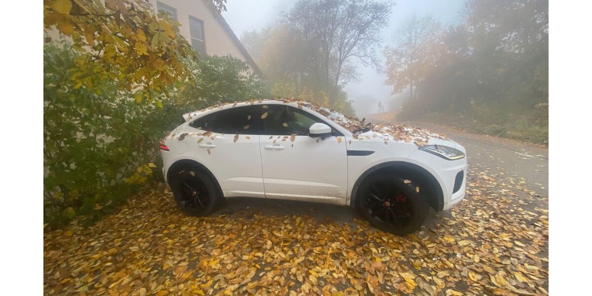 Jaguar E-Pace 52.000 km 26.500 &euro; Nesselwang 87484