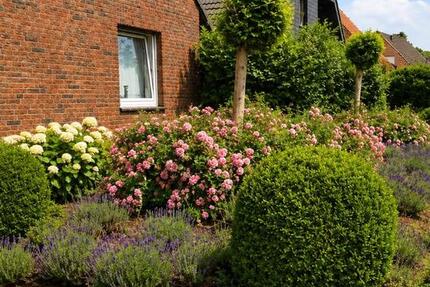 Haus Weeze - 5 Zimmer, 145 m&sup2;, 450.000&euro; | Angebot:27081746