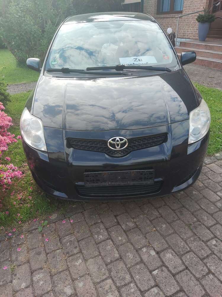 Auris