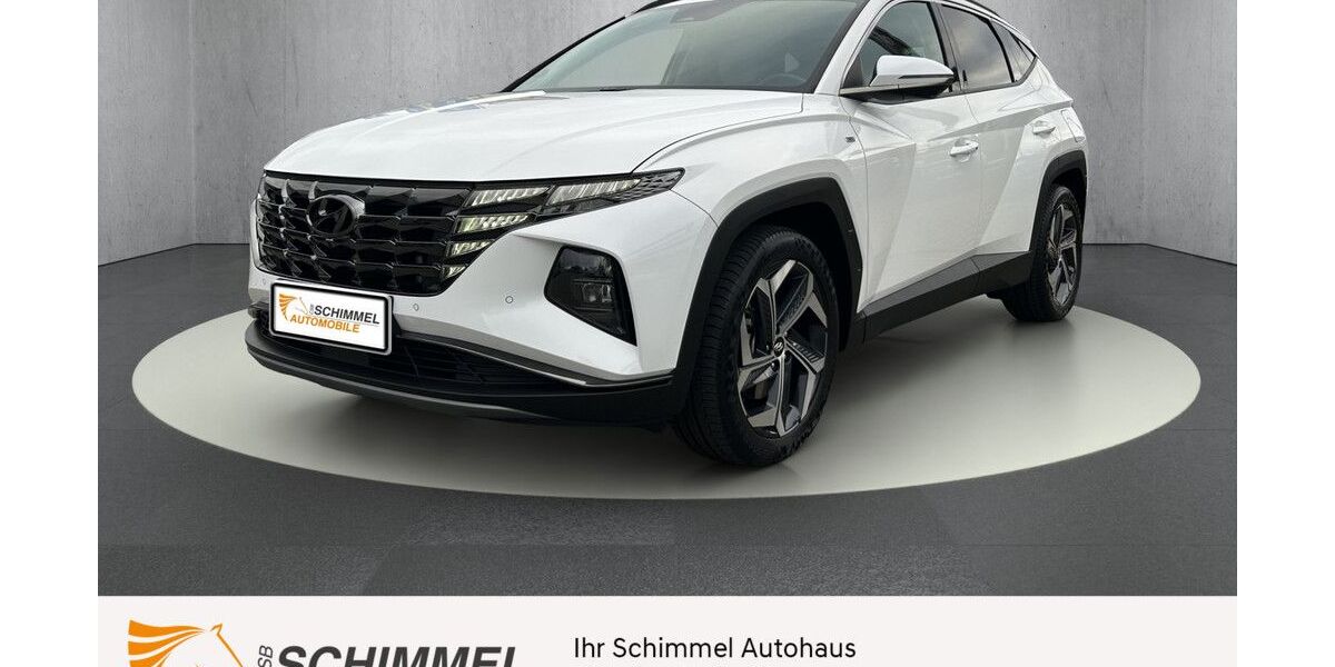 Hyundai TUCSON 13.809 km 29.925 &euro; Berlin - Hohenschönhausen 13055