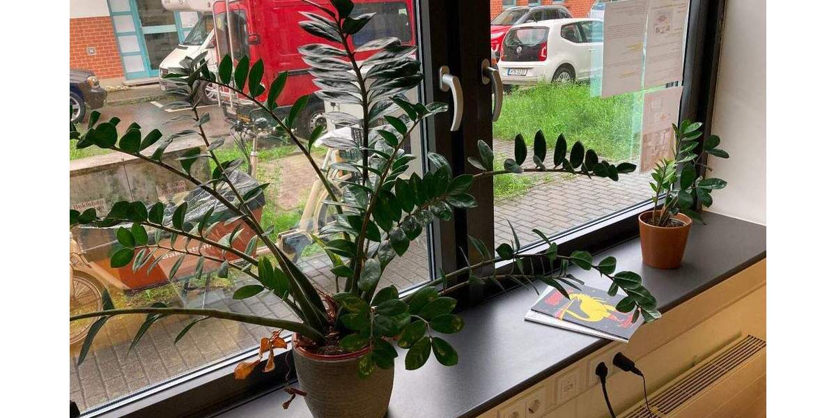 Gewerbeobjekt Konstanz Industriegebiet - 260&euro; | Angebot:25440200