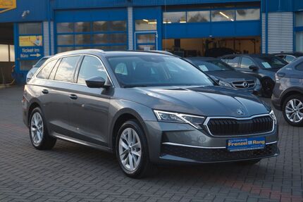 Skoda Octavia 13.500 km 27.499 &euro; Nettetal 41334