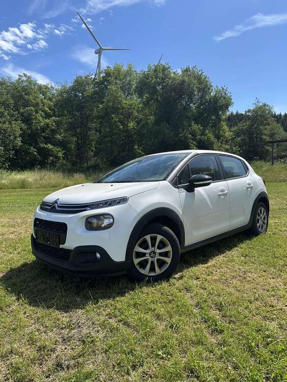 C3