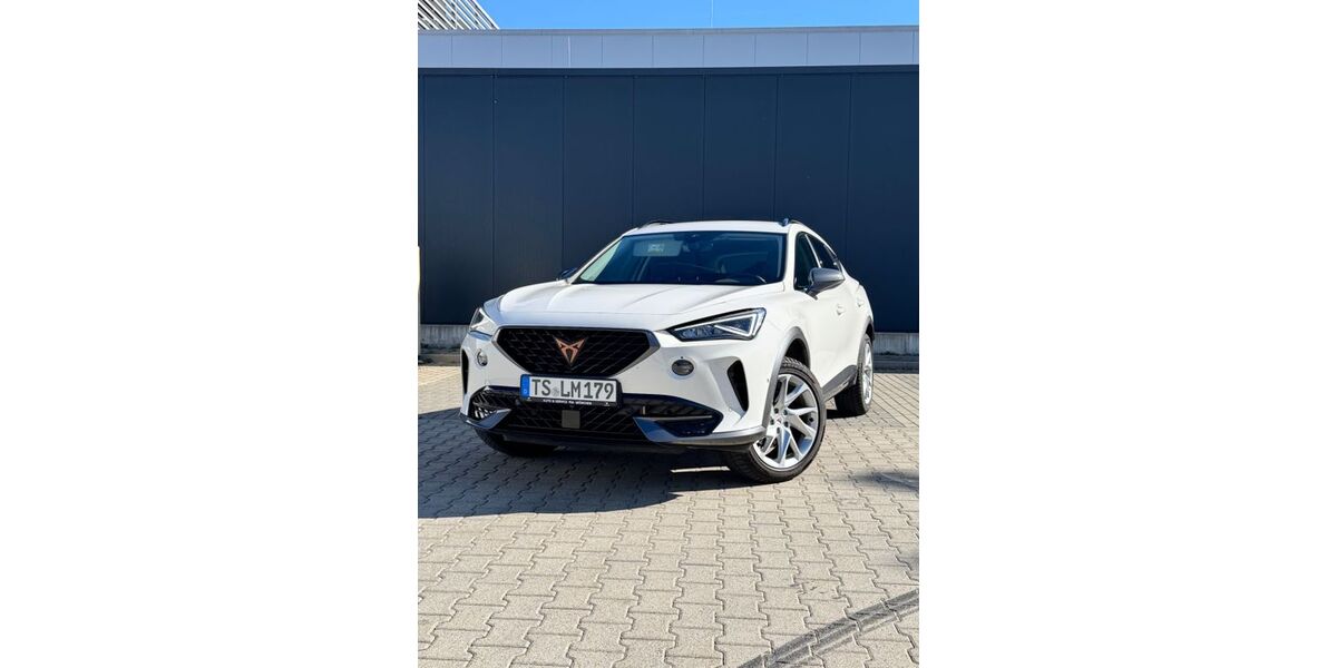 Cupra Formentor 29.450 km 27.777 &euro; Traunreut 83301