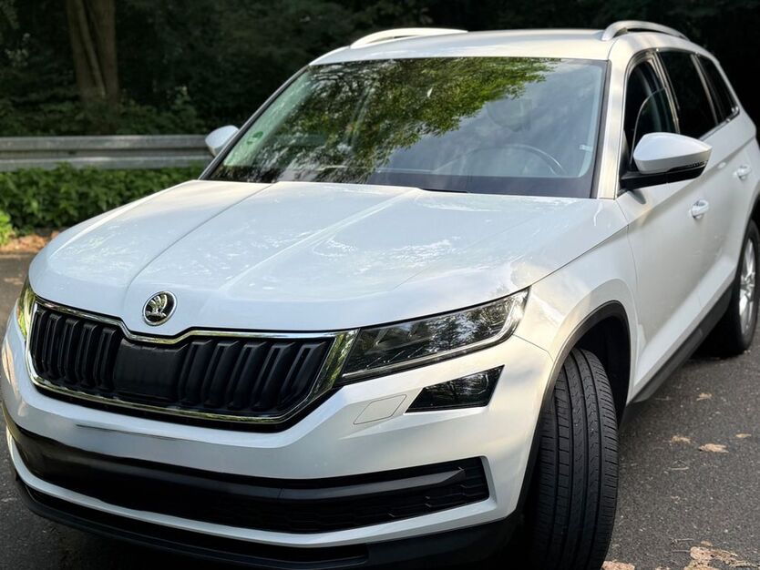 Skoda Kodiaq 172.000 km 20.499 € Eppstein 65817