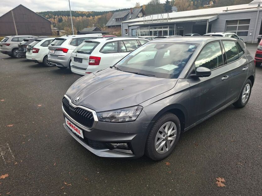 Skoda Fabia 17.200 km 18.670 € Bad Elster 08645