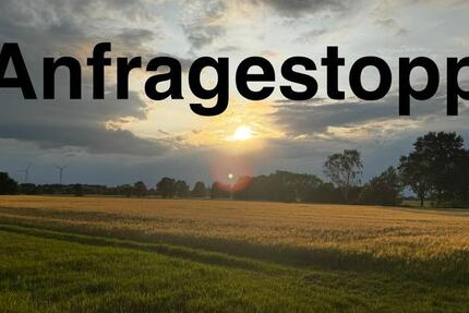 Haus Lüneburg Goseburg-Zeltberg - 6 Zimmer, 115 m&sup2;, 1.364&euro; | Angebot:25572024