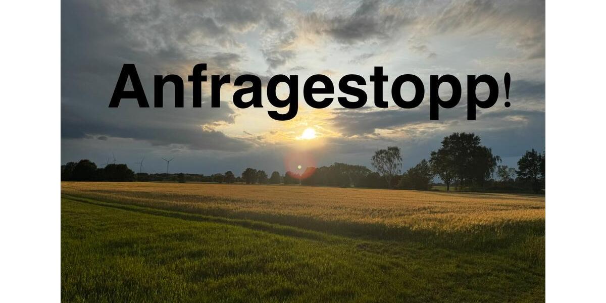 Reihenhaus Lüneburg Goseburg-Zeltberg - 6 Zimmer, 115 m&sup2;, 1.364&euro; | Angebot:25572024